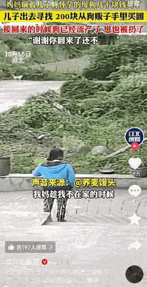 “泪目了！”湖北，一妈妈瞒着儿子卖掉了家里怀孕快生的母狗。儿子知道后，花了42小