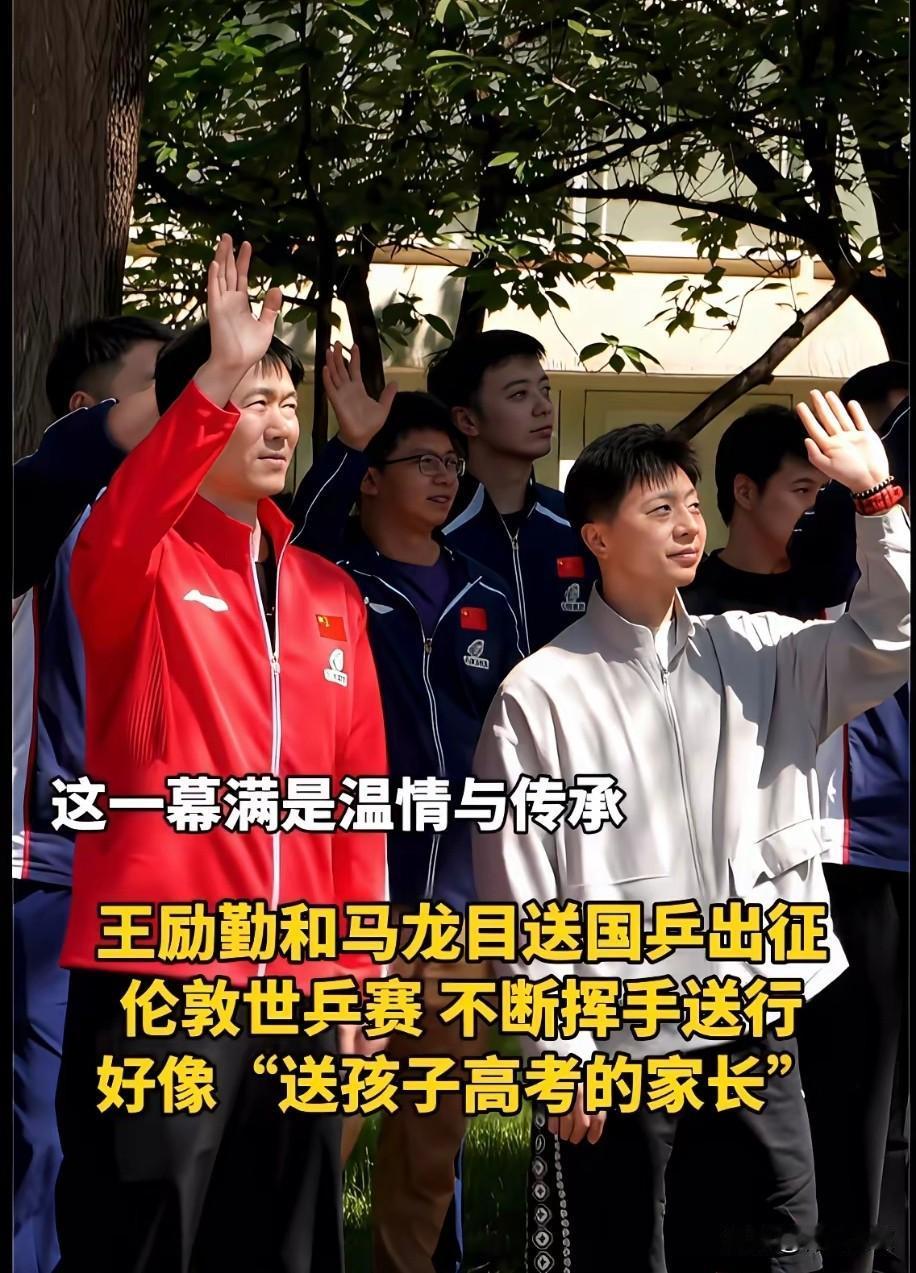 大家发现了吗？陈垣宇居然不在伦敦世乒赛之行！王励勤和马龙挥手告别的时候，陈