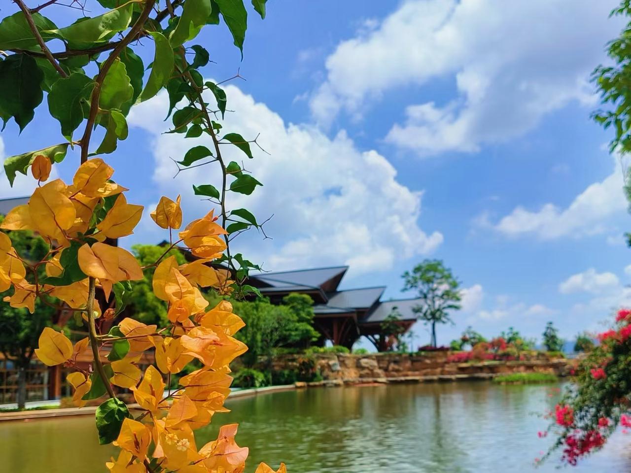 退休了,现在最好的生活是什么呢?退休了，我现在最好的生活就是：活在当下，享受生