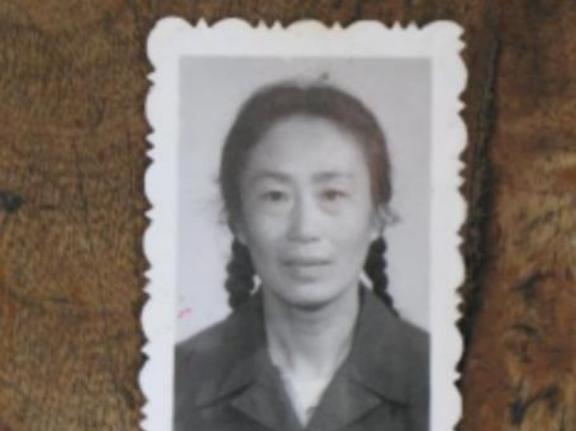 1969年，19岁的女知青黄丽萍，隐瞒自己显赫的身份，心甘情愿的在北大荒劳动。1