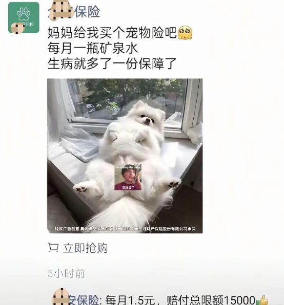 以女性尊严换流量的无耻冒犯！将女性生殖器官当作可随意拼接、使用的"素材"，没
