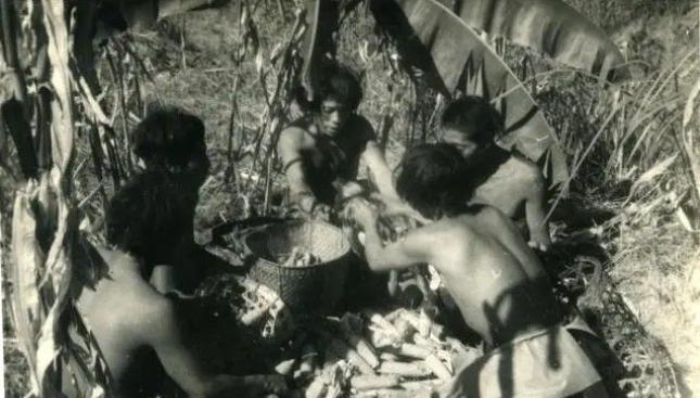 1956年，解放军在云南原始森林深处，发现一群衣不蔽体，蓬头垢面的男男女女，经过