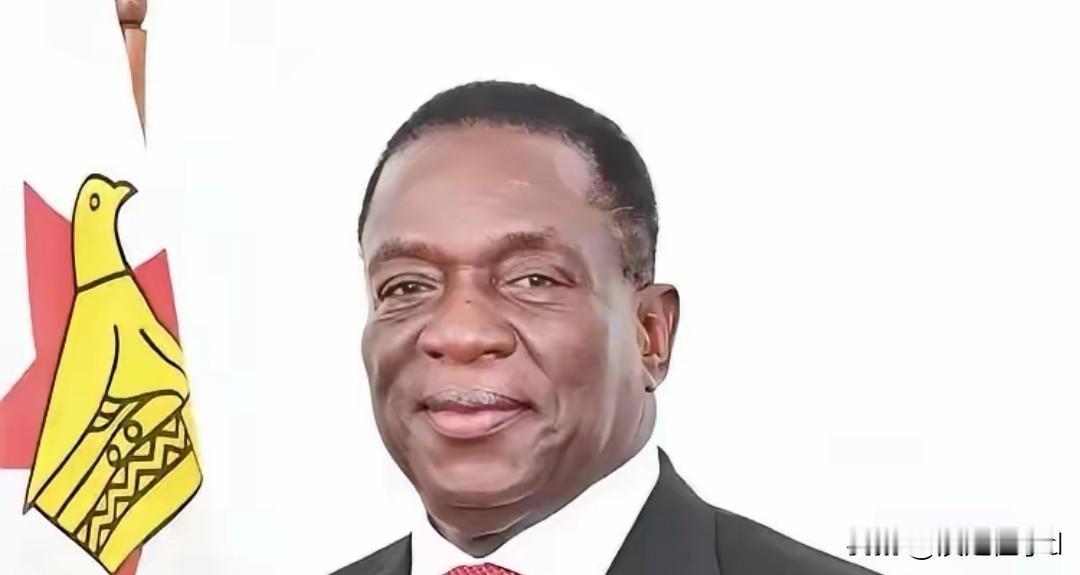 中企港口与锂矿业务双线承压中企海外资产接连遇袭。巴拿马强行接管中方运营港