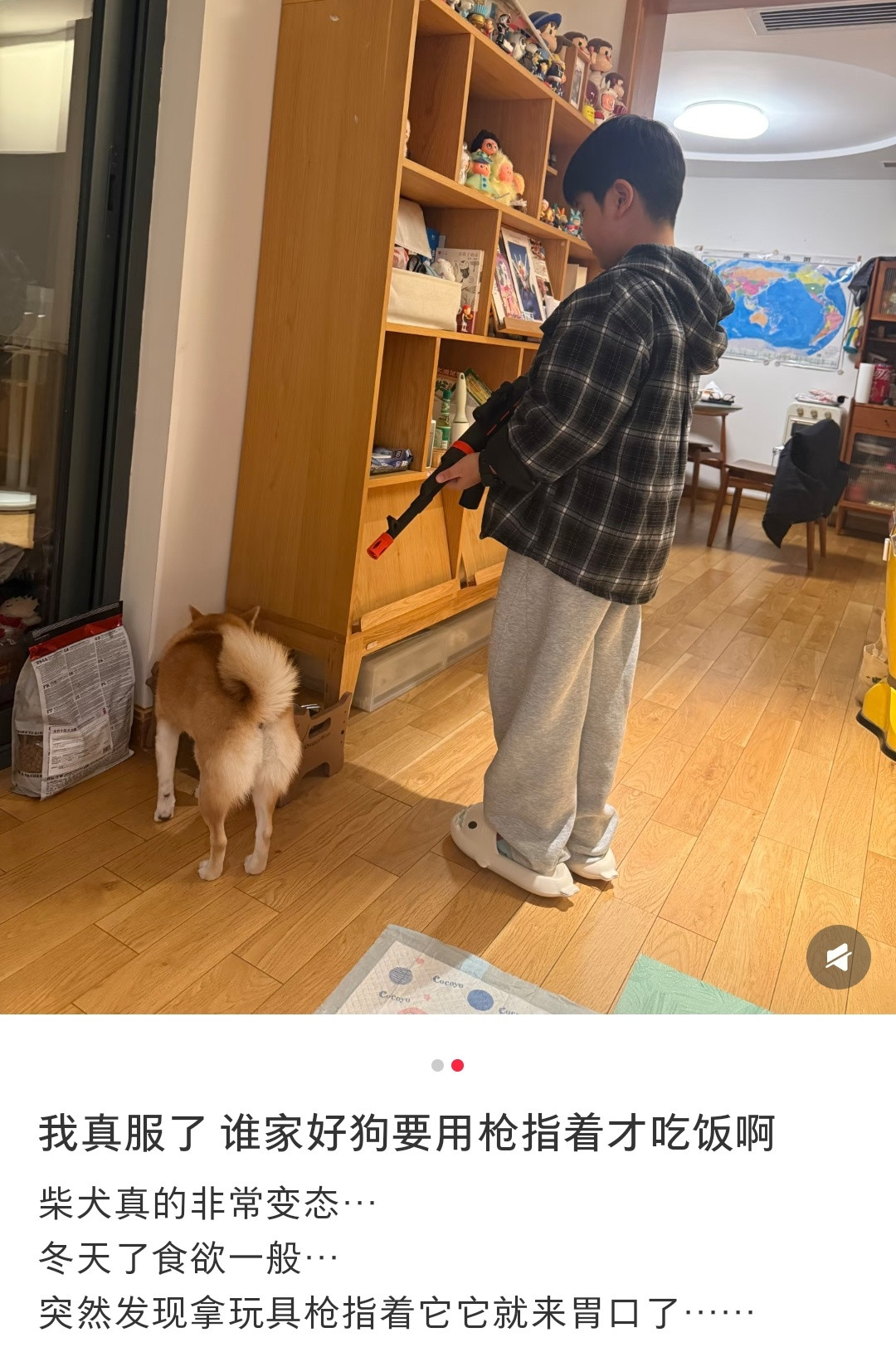 哈哈哈这个小狗，评论说的这个事情我也记得之前因为狗粮袋子上有个边牧，吓得他不敢吃