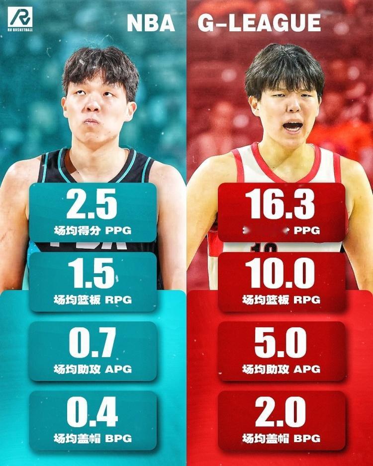 实战的意义！杨瀚森NBA数据对比！中国男篮的希望之星——杨瀚森在NBA场均2.