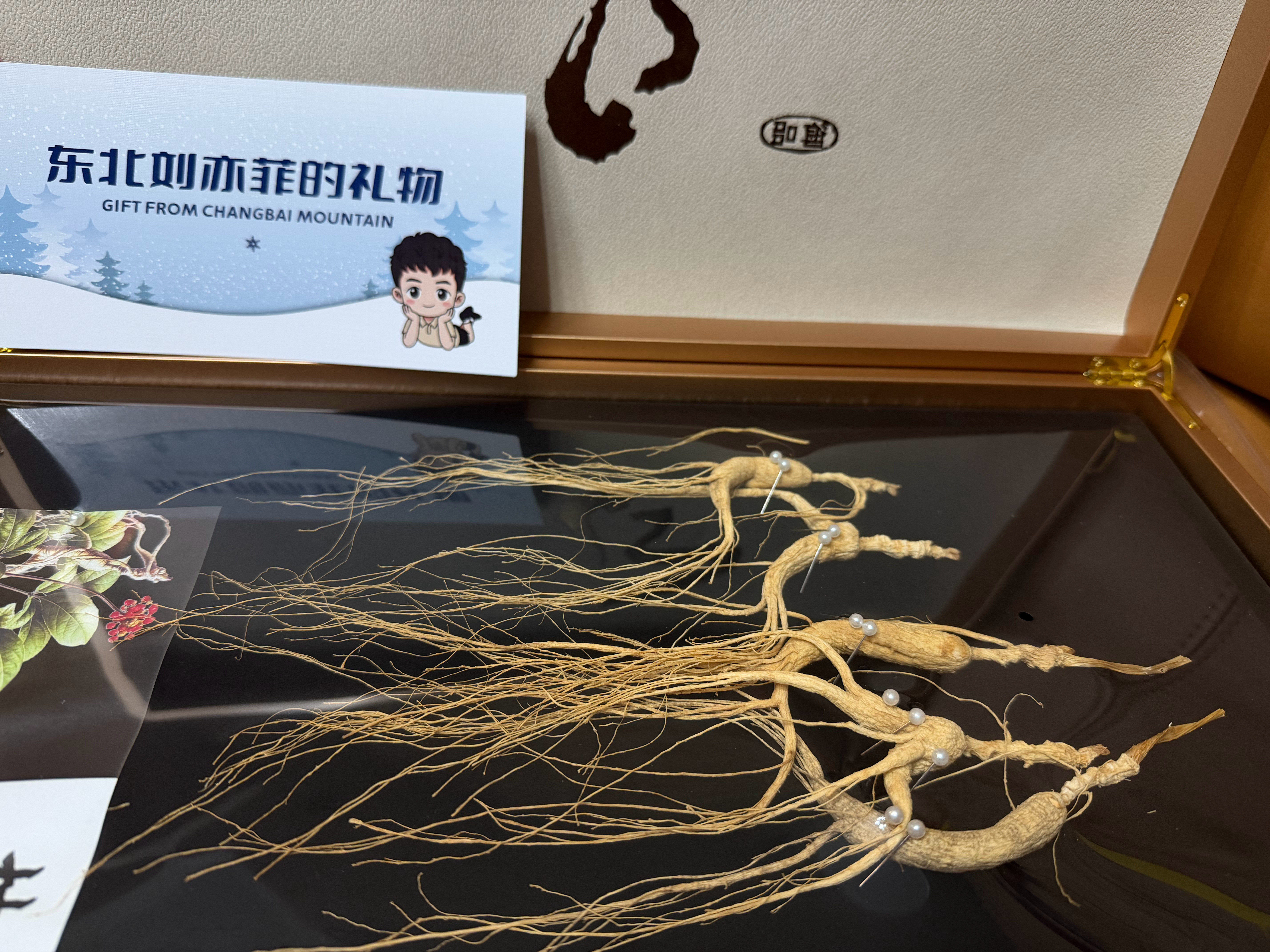 说要给我补补，今年踩油门更有力一点