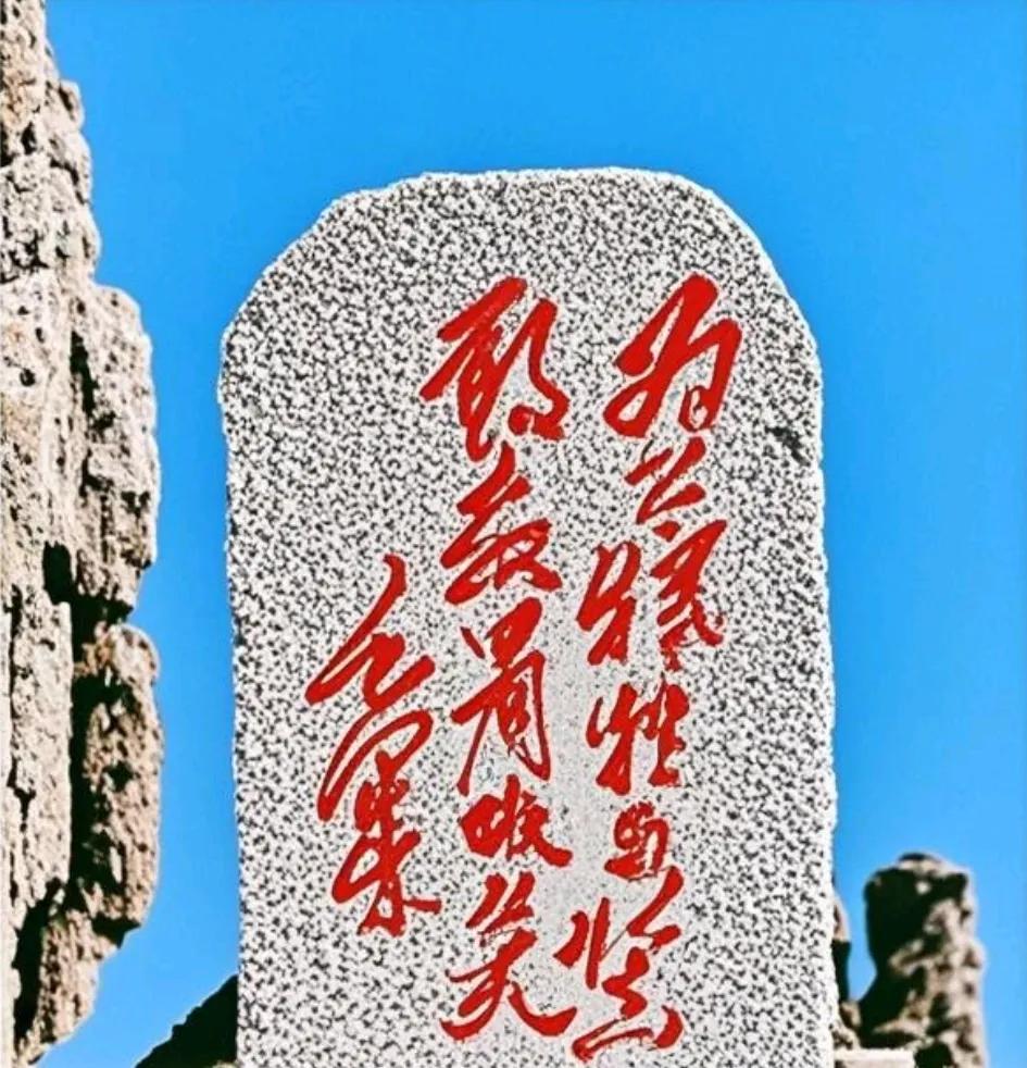 这14字的书法，可把3000人都难倒了！求大神辨认辨认。家人们，被这14个字给