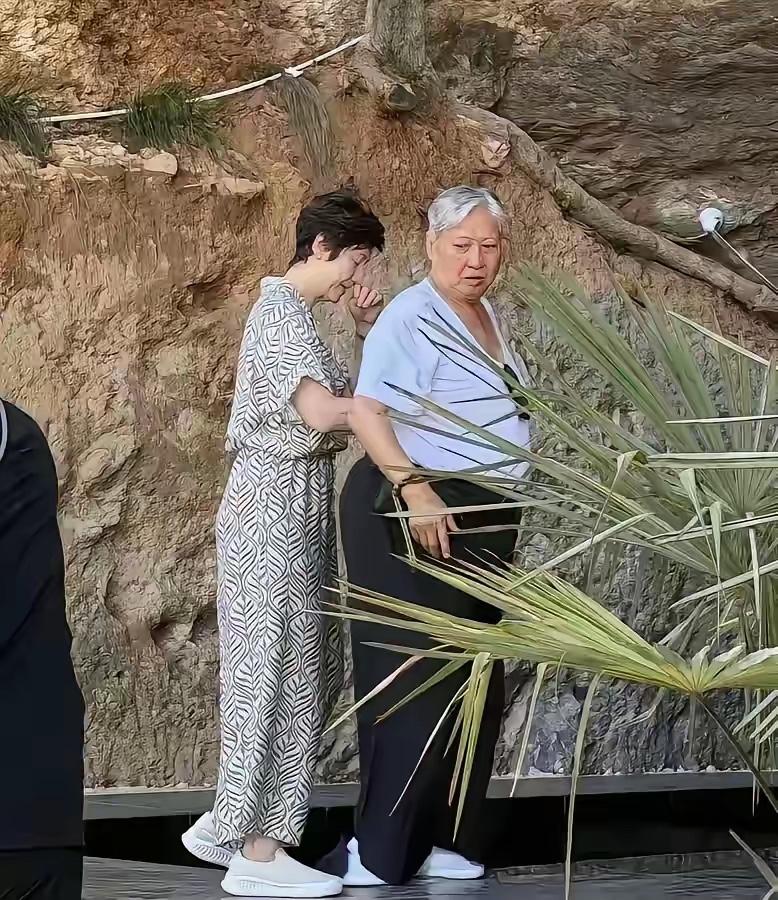 不得不说，最能打的也老了。