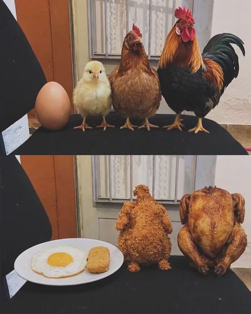 从幼稚到成熟只需要一顿午饭的时间