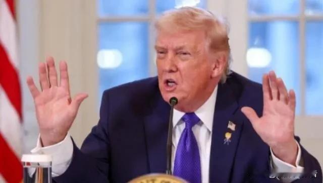 美国找了一圈“下一个中国”。越南、印度、墨西哥，都试了。结果呢？前美国财