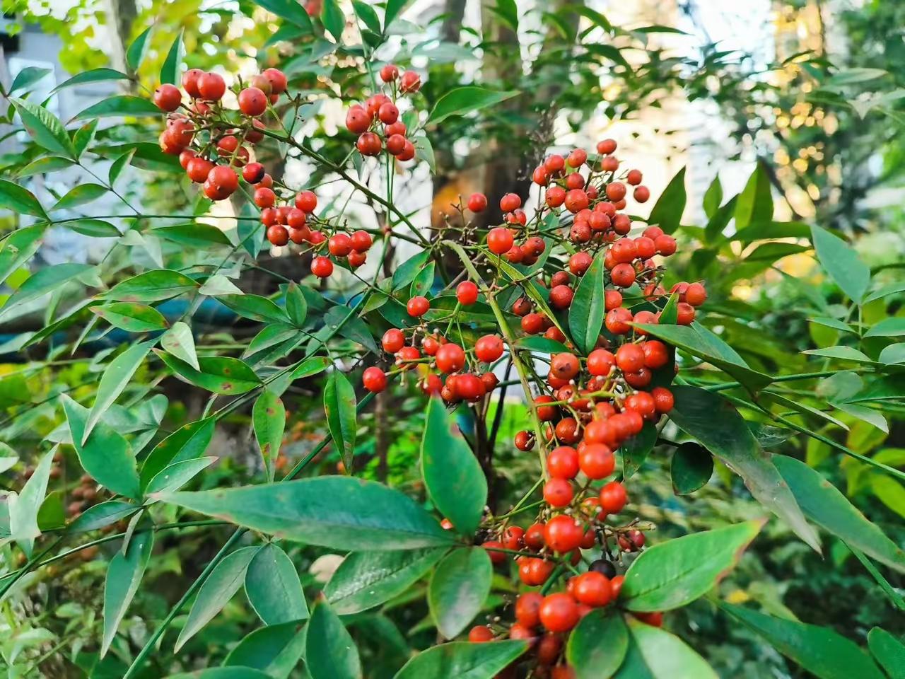 听证会到底是啥？说白了就是有话你说！听证会其实很简单——就是政府、法院或