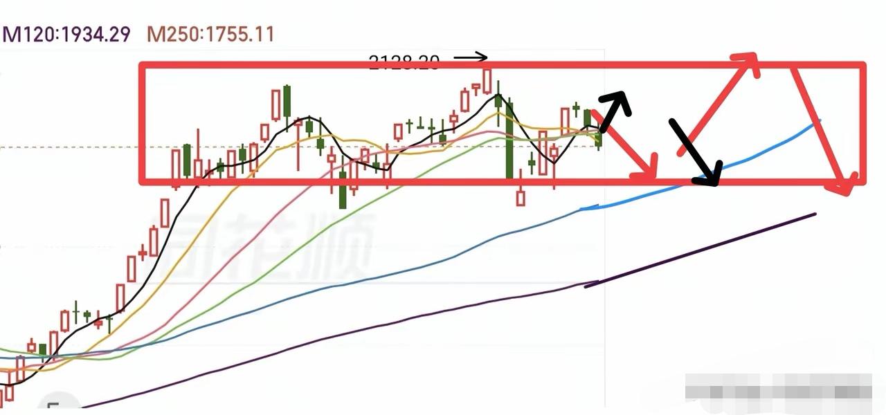 牛市还在不在？这问题最近问的人太多了，毕竟不少人亏得心里发慌，信心都快磨没了。咱