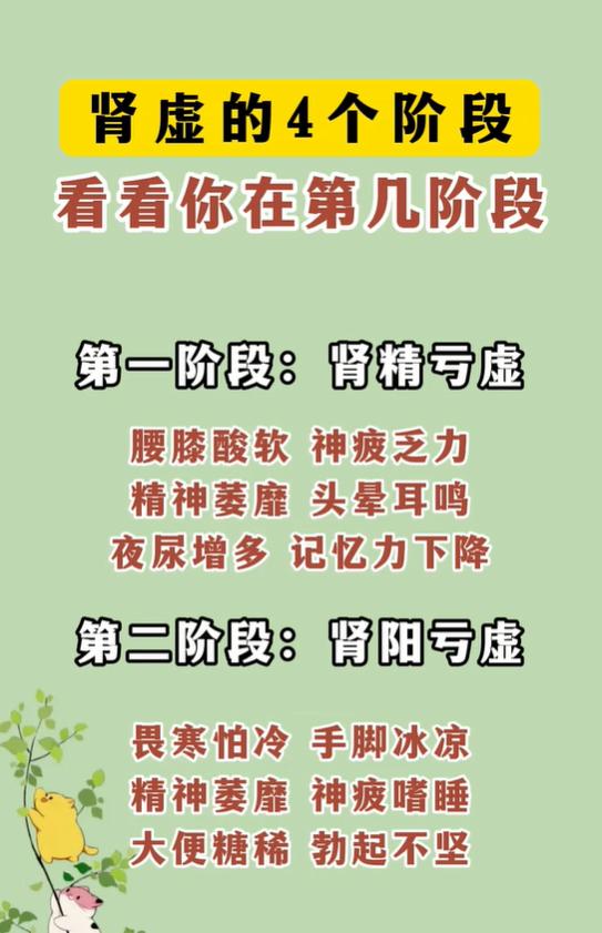 肾精亏虚、肾阳不足、肾阴亏虚、肝肾两虚，4种肾虚各有什么表现