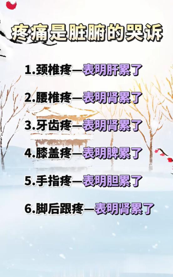 颈腰膝足跟疼痛，看懂脏腑发出的信号