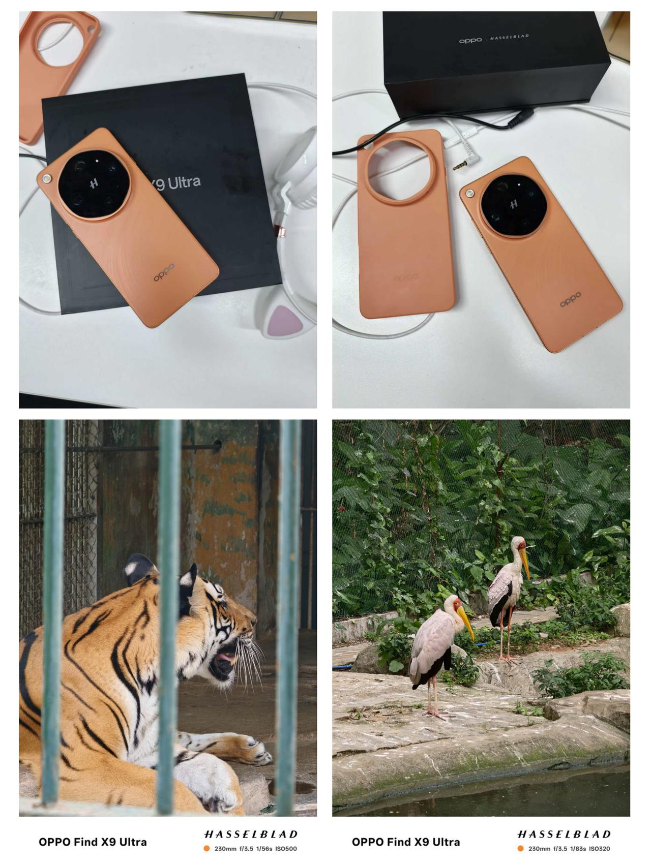 换手机前都不知道老虎能这样拍🐯换手机这件事我真的纠结了很久，老早就想换了，