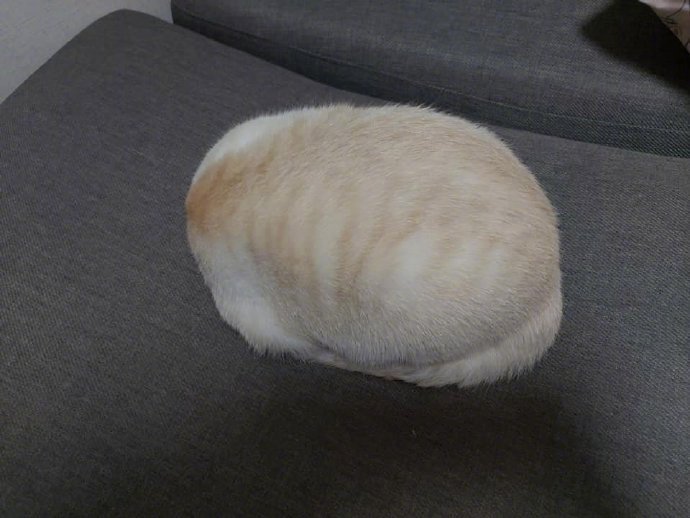 这是什么...​​​