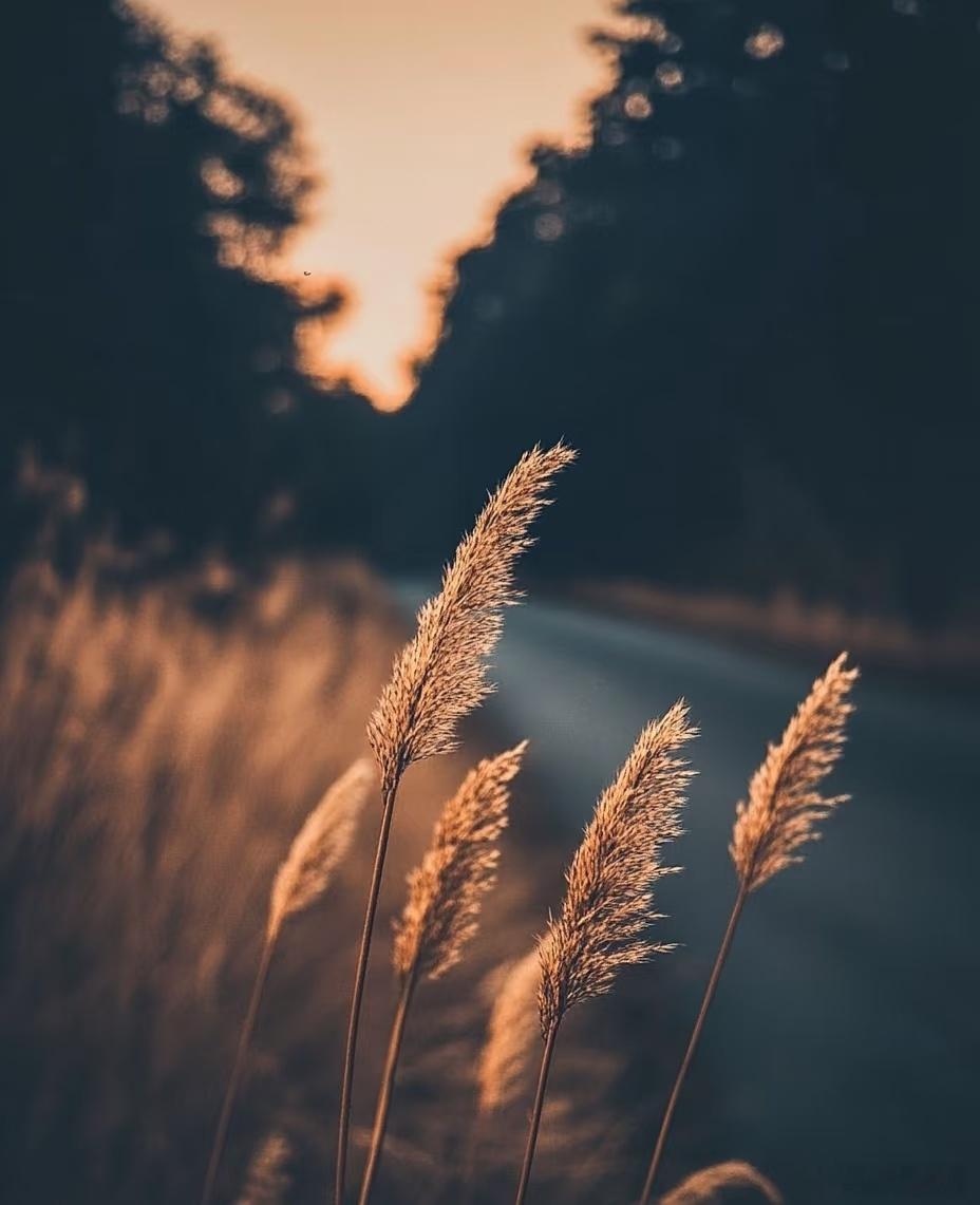 人这一生，好好琢磨好这三件事，准没错。第一件，琢磨赚钱。别嫌谈钱俗气，这世上九成