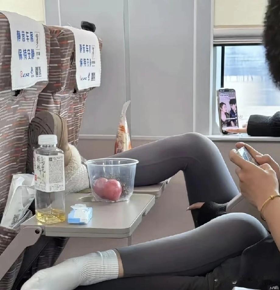 高铁上的这一幕！真的让人愤怒，人的素质为什么会如此之差。这可是在高铁列车上，而