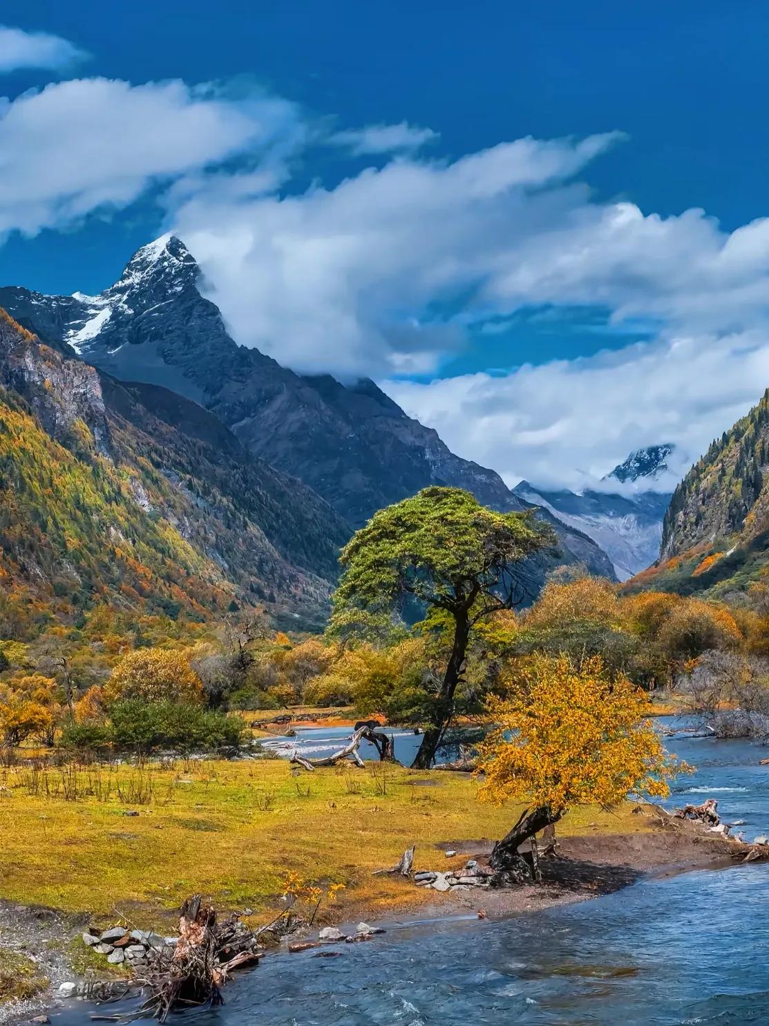刚刚看到一个小姑娘在感叹，说自己考了三年的研究生，但是今年仍然没有考上。我们有很