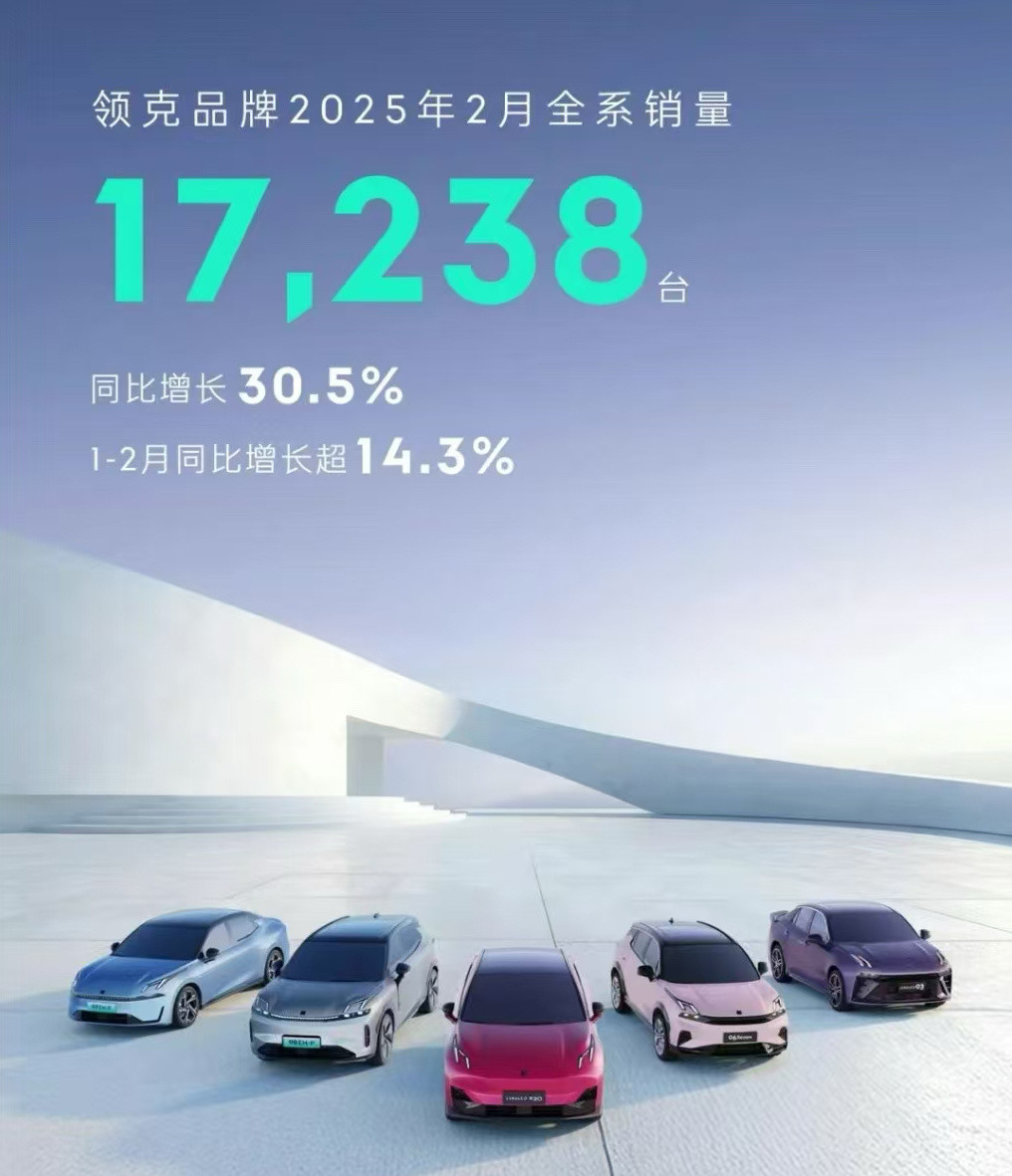 领克汽车3月1日，据领克汽车消息，2025年2月，领克品牌全系销量17,23