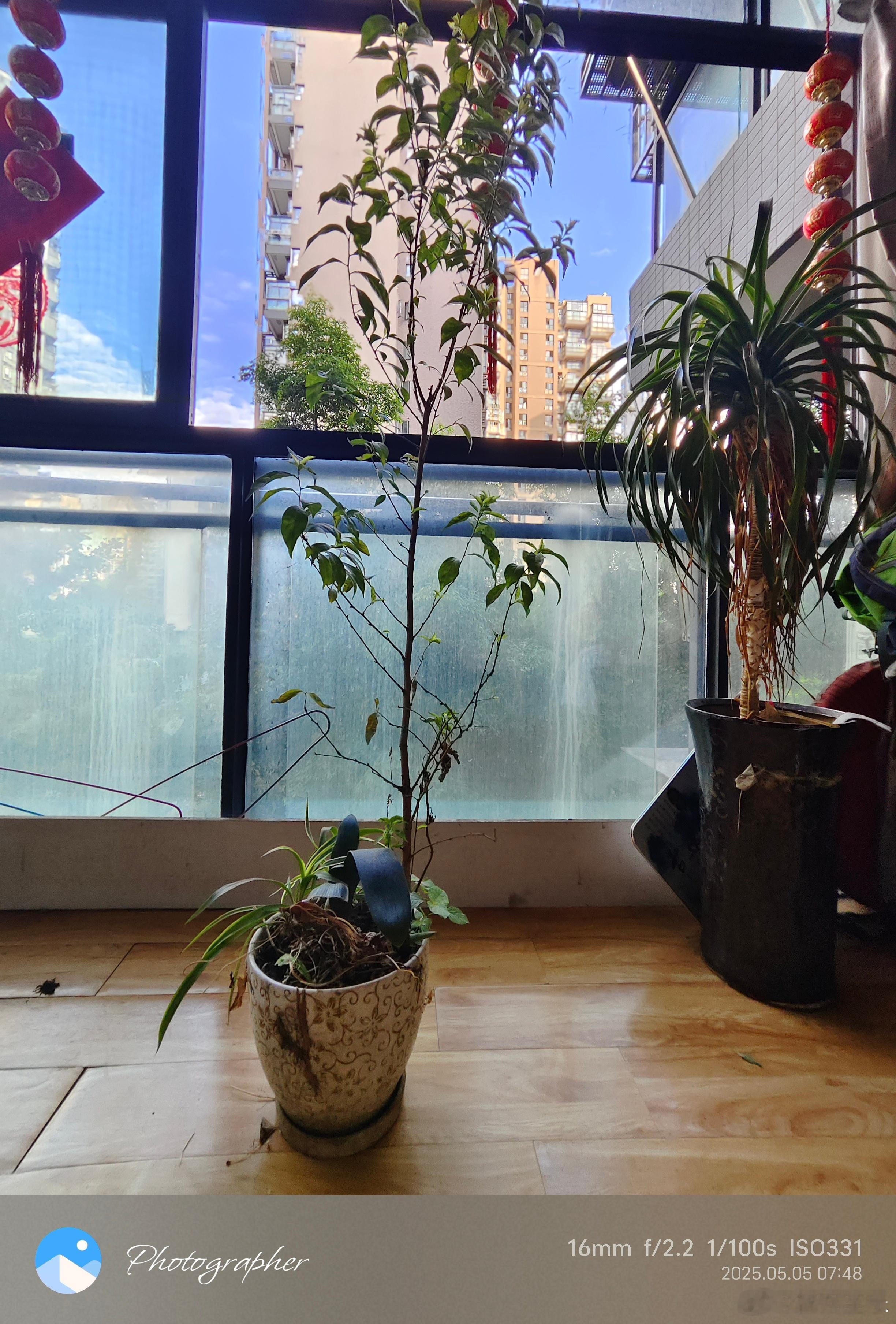 成都大风雾霾来了，沙尘暴来了，猝不及防的大风来了，盆地盆底的天府之国，气候越来越