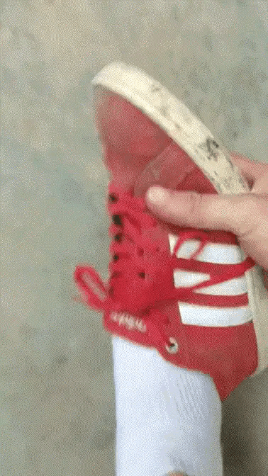 狗子要是会说话，早骂你了