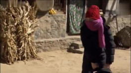 裸婚时代 14 DVD高清全集完整版 文章姚笛张