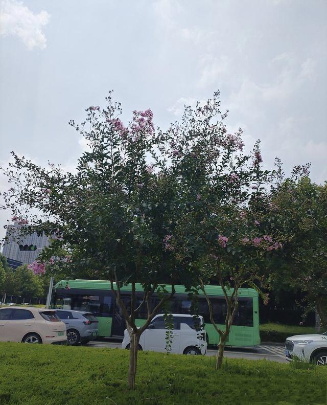 昨天刷到个事儿，心里挺不是滋味。一位49岁的姐们儿，跑到社保局窗口，张嘴就想一次
