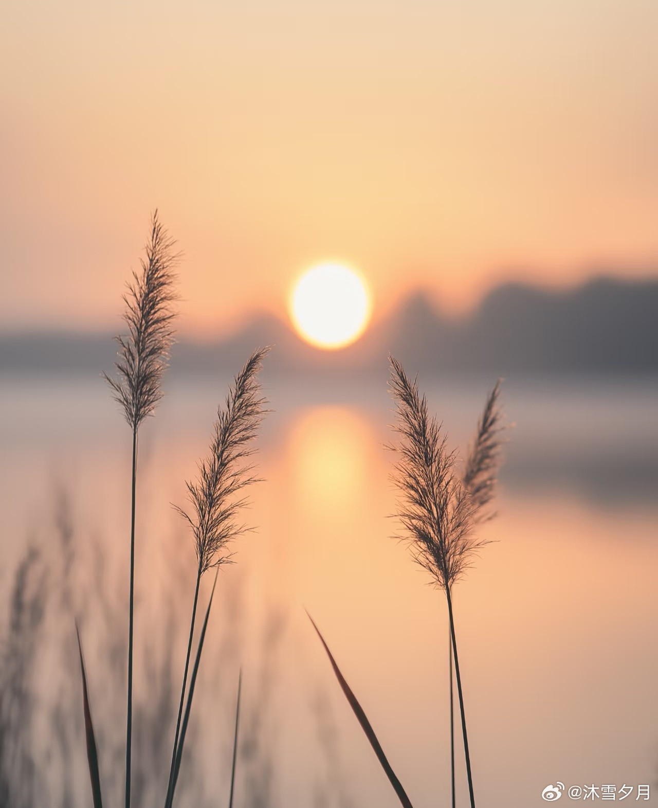 最近看到一个说法：如果你在银行存够100万，每个月单靠利息就够生活了。想想看，每