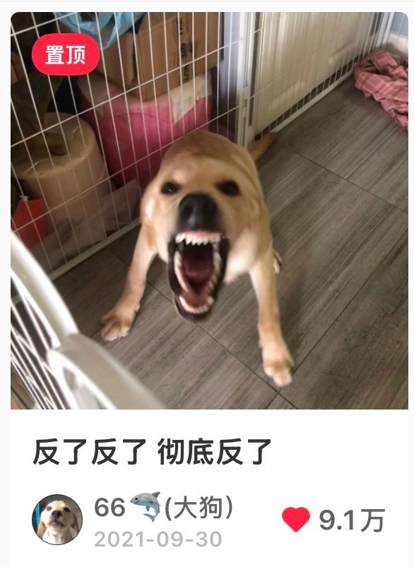 连神都超越不了五年前的自己😞
