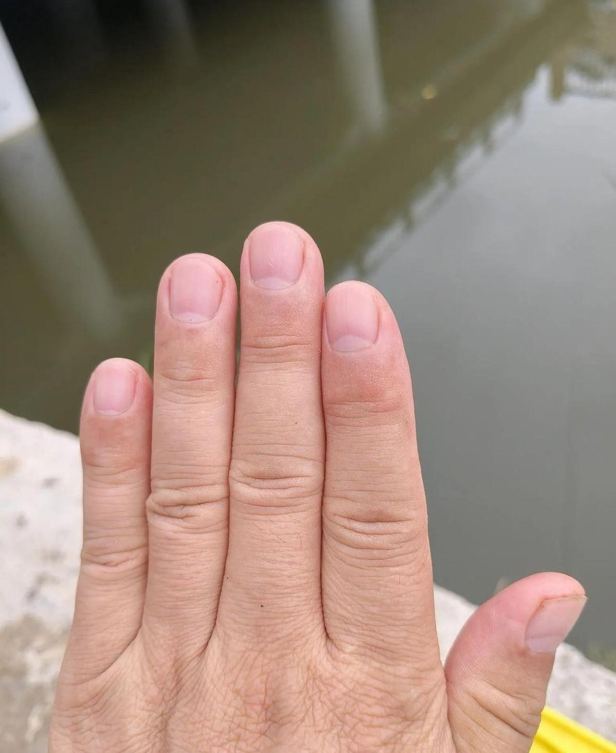 老话儿说“无名指比食指长，天生富贵命”，这话居然不是瞎说。这背后其实是科学，叫