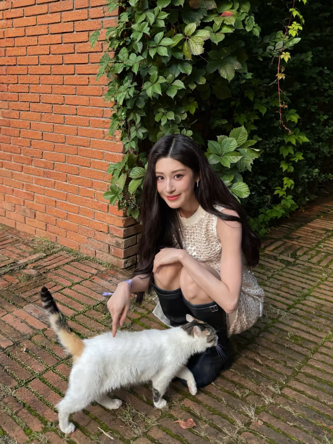 世界破破烂烂 小猫修修补补