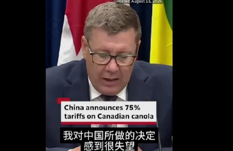 加拿大成为全球唯一被中美加征关税的国家，这就是加拿大人的智商，本来美国加征加拿大