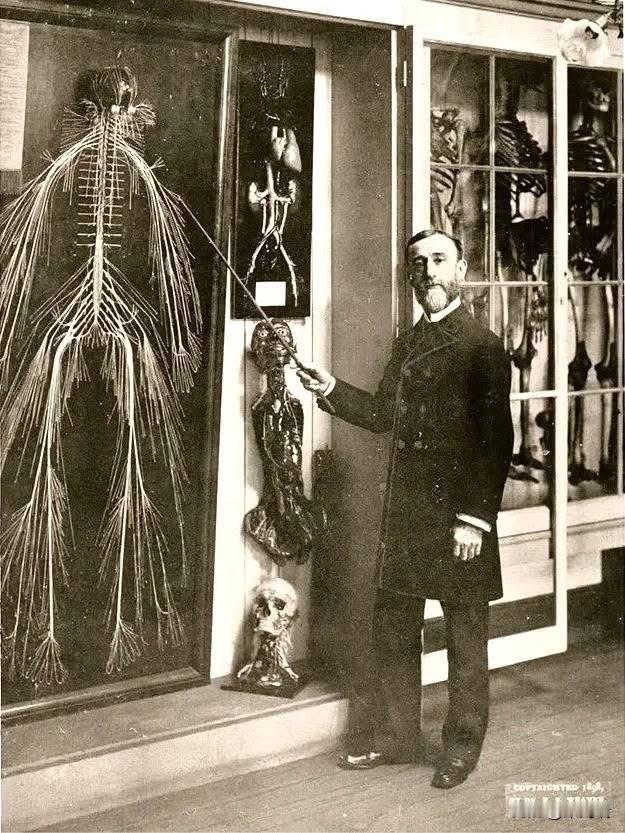 一位贫困非裔女性死后被制成神经系统标本，这是世界上第一个完整的人类神经系统标本