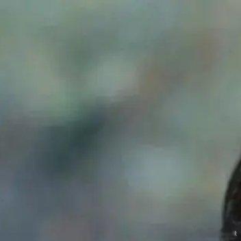 唐嫣更新动态后罗晋沉默引发的离婚传闻升级1：唐嫣深夜更新的社交平台截图，文案仅“