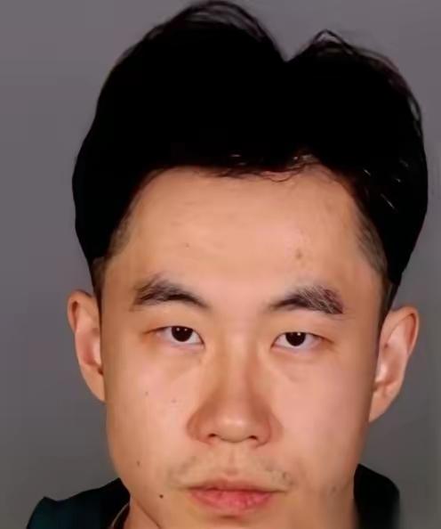 张大鹏，一个哈工大毕业、在法兰克福拿高薪的IT经理。如果不是德国警方那把破门而入