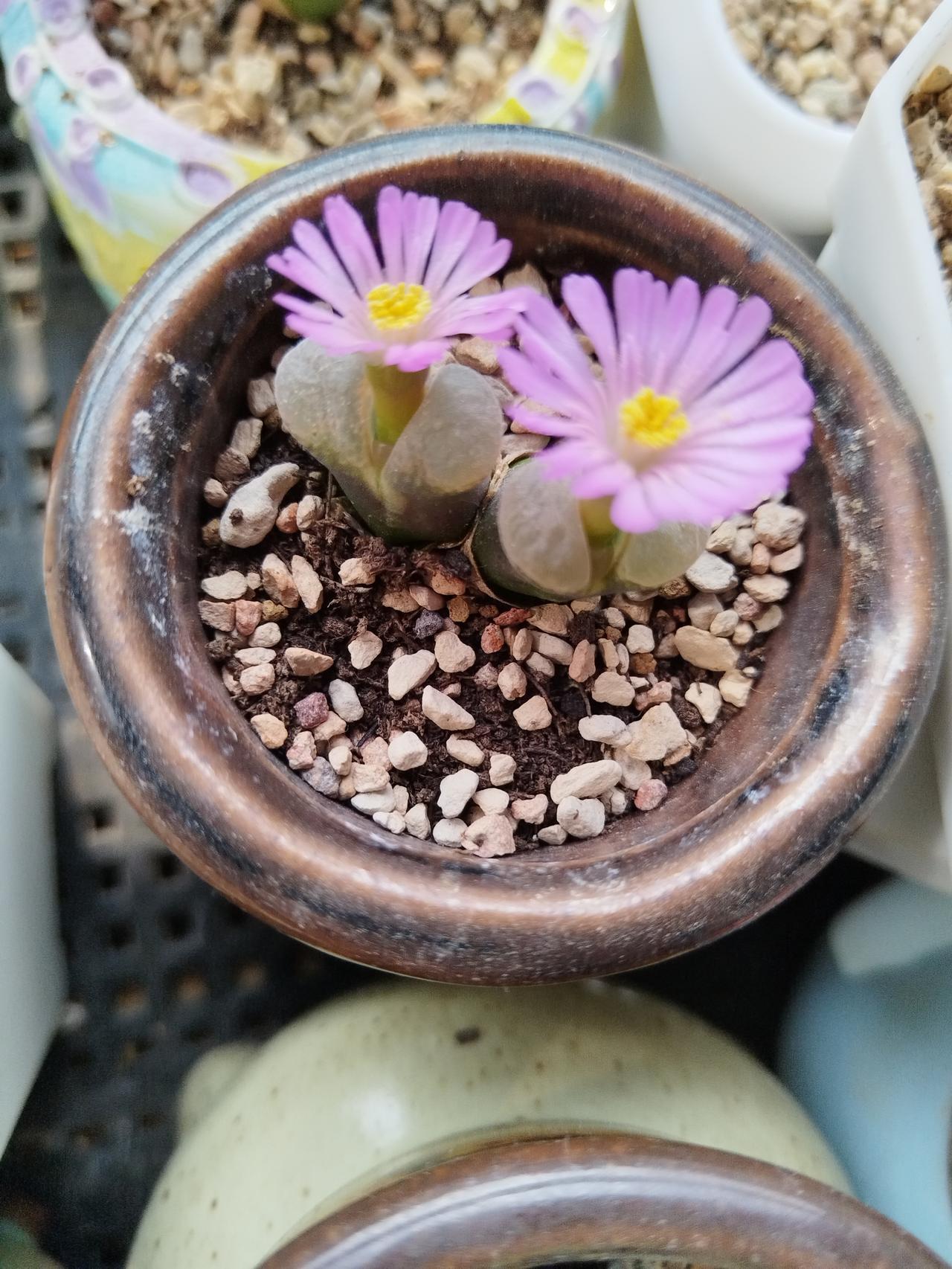 互联网带来的进步