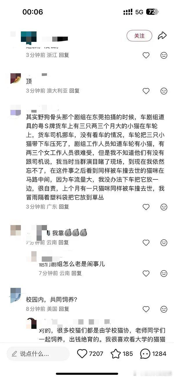 《红舞鞋》出事，周也粉丝又想造谣共沉沦张婧仪和宋威龙的《野狗骨头》结果发现《野狗