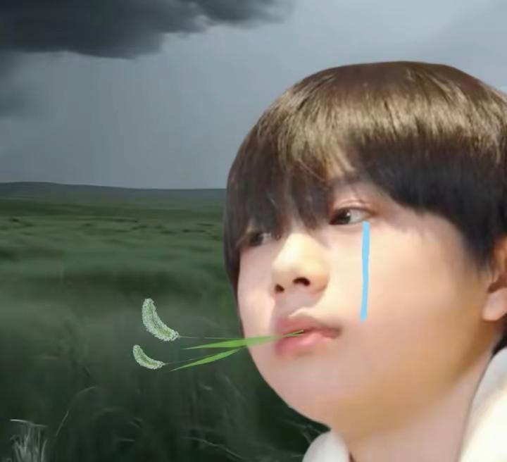 鱿鱼的肥肥。cr：wb爱次猪饲料陈奕恒林清源陈奕恒林清源减肥