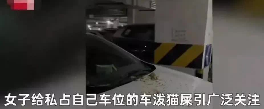 四川成都，一女子车位又被人占了，要知道这是她花钱买的，而她却无法停车。无奈之下，