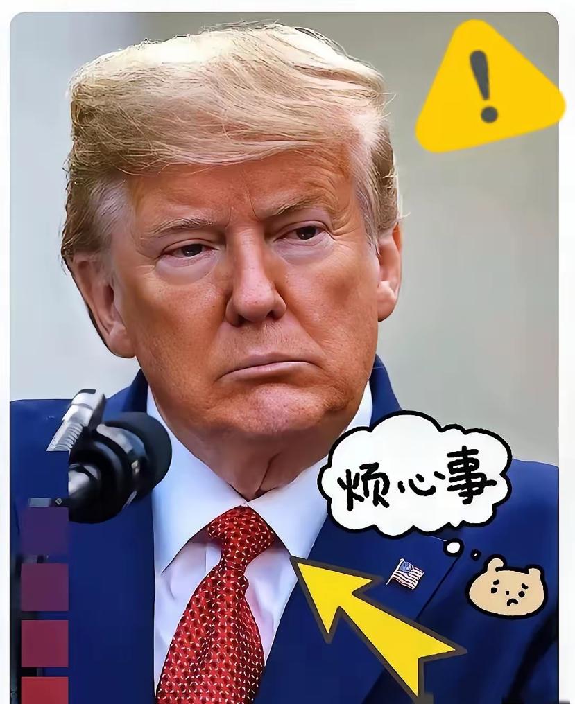 快报，快报特朗普急疯了！中国不买美国大豆，他发补贴找买家全翻车，背后猫腻太