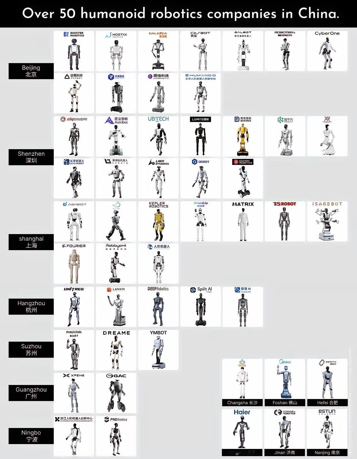国内人形机器人全景图