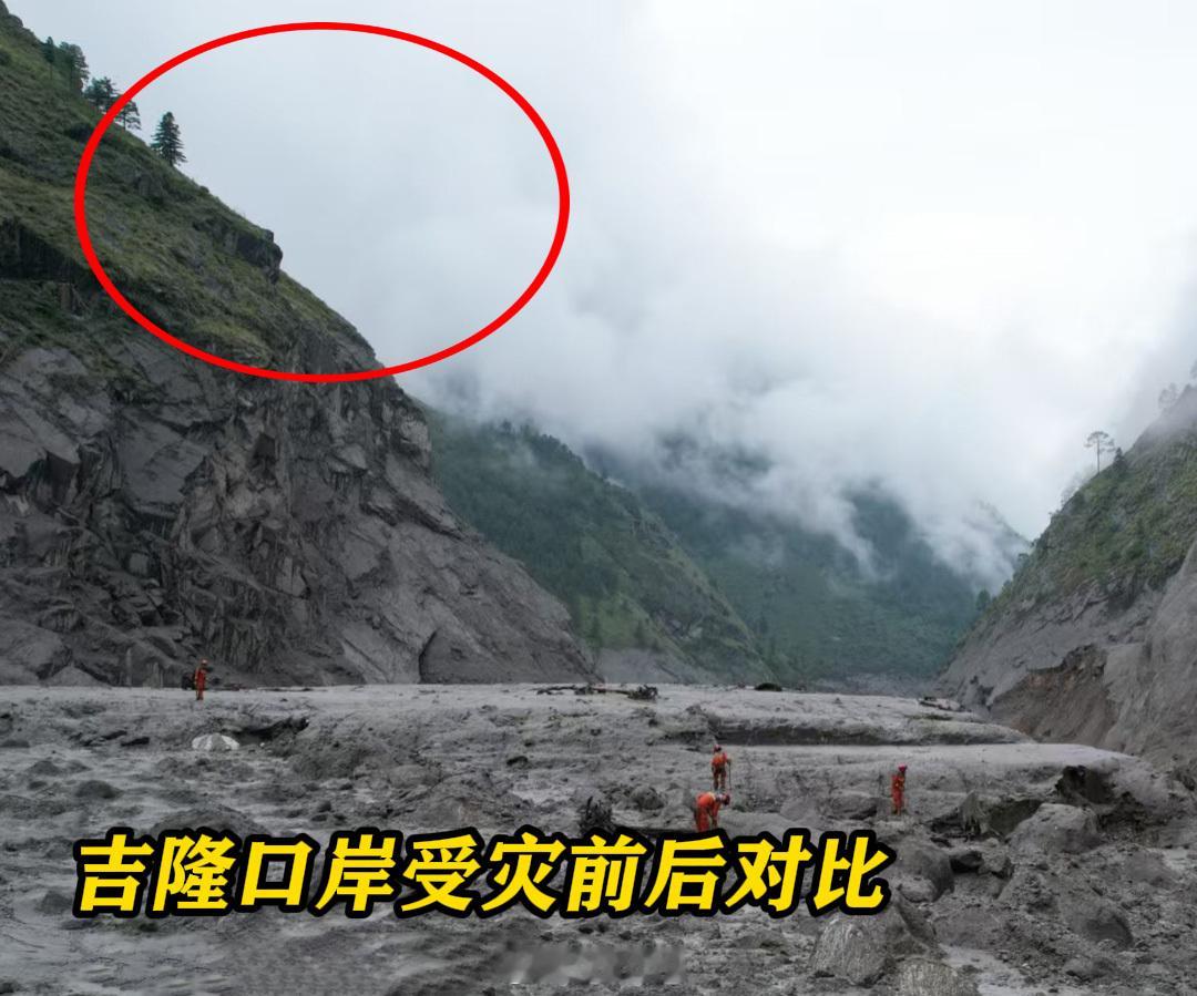吉隆口岸两张照片只剩一颗树看到那棵幸存下来的树，心里说不出是什么滋味。它见证了昨