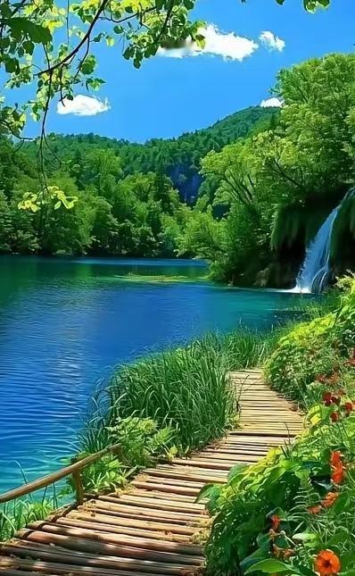 混迹股市，并非想象中的那般复杂，在以下十条准则里践行七八条，你便能成为资本角逐中