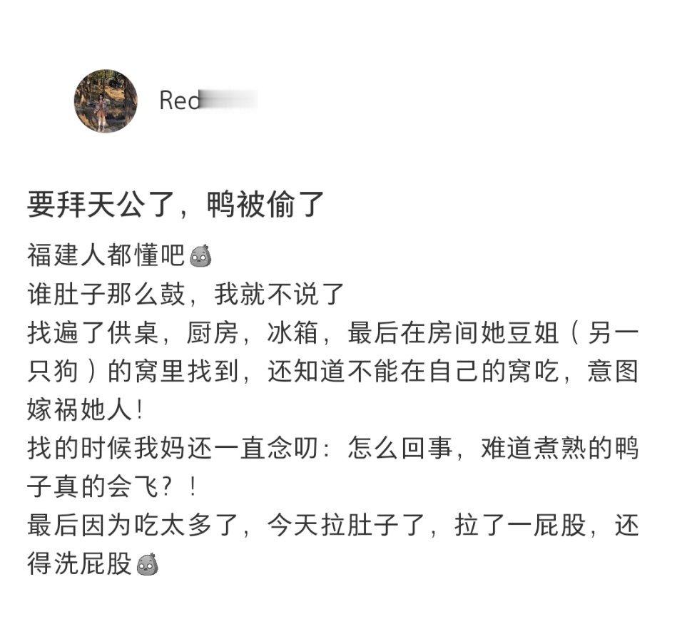 要拜天公了鸭被偷了