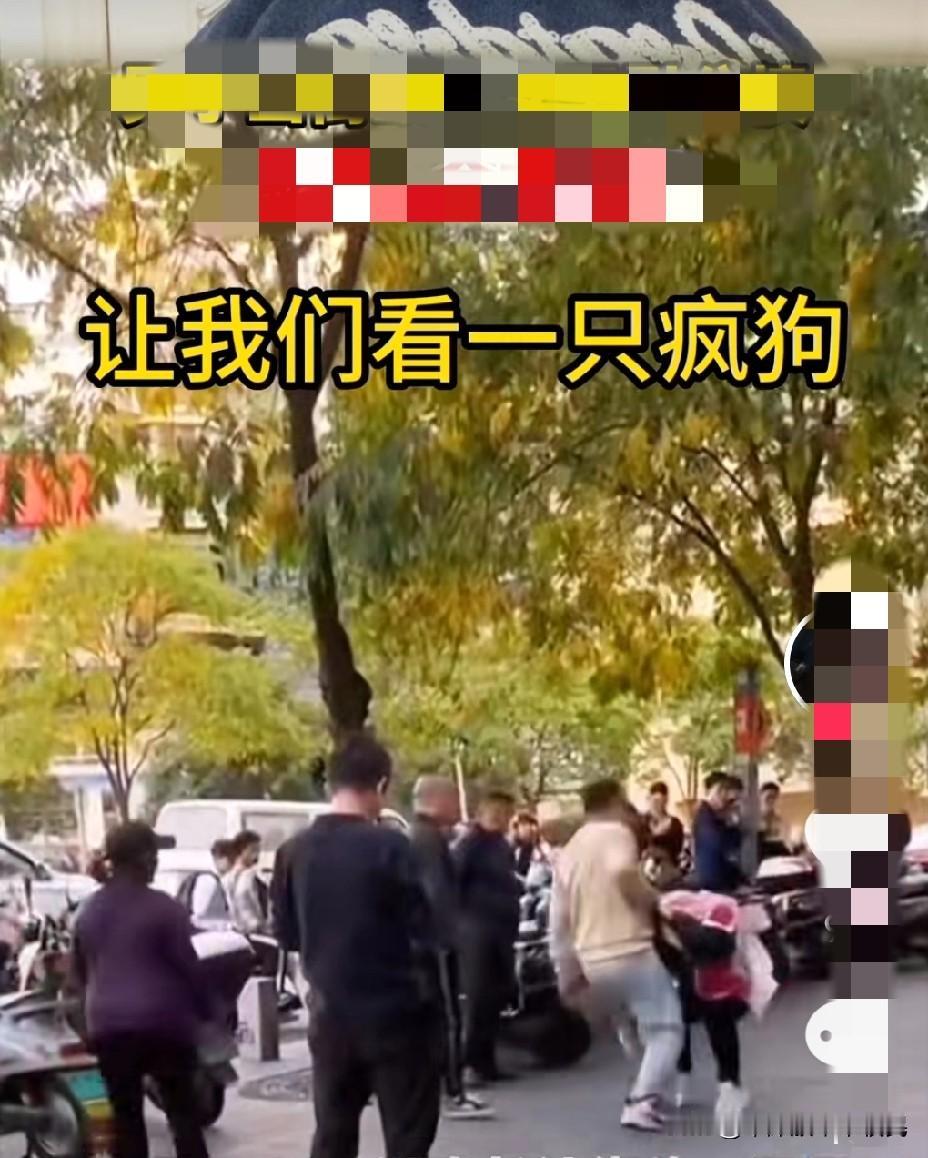 听说那个“金毛”的亲爹老金在大街上被人给揍了？这消息听着真让人解气。这老头喝