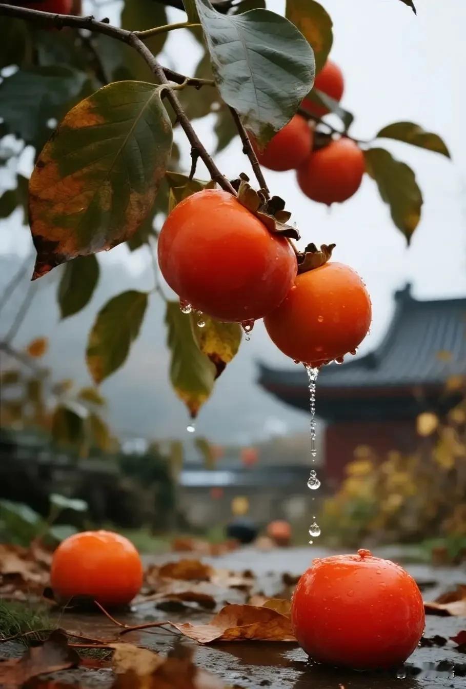一位情感咨询师说：“追不到大美女的男人，也赚不到大钱。泡妞和赚钱，本质逻辑是一样