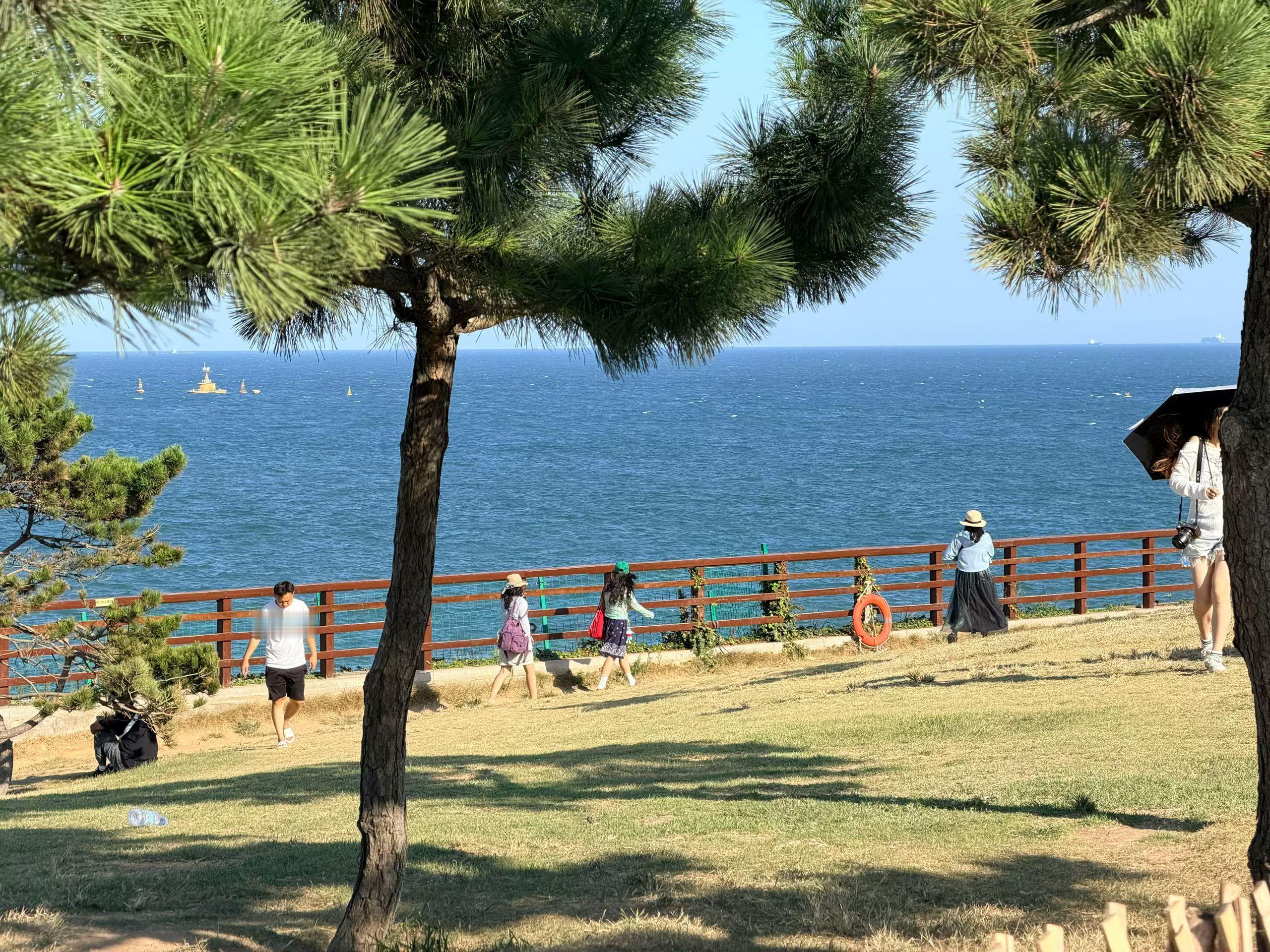 孙子上小学了，儿媳妇开始不吃我做的饭了。其实我俩也明白，儿媳妇想让我俩走。我俩收拾一下，今早就踏踏实