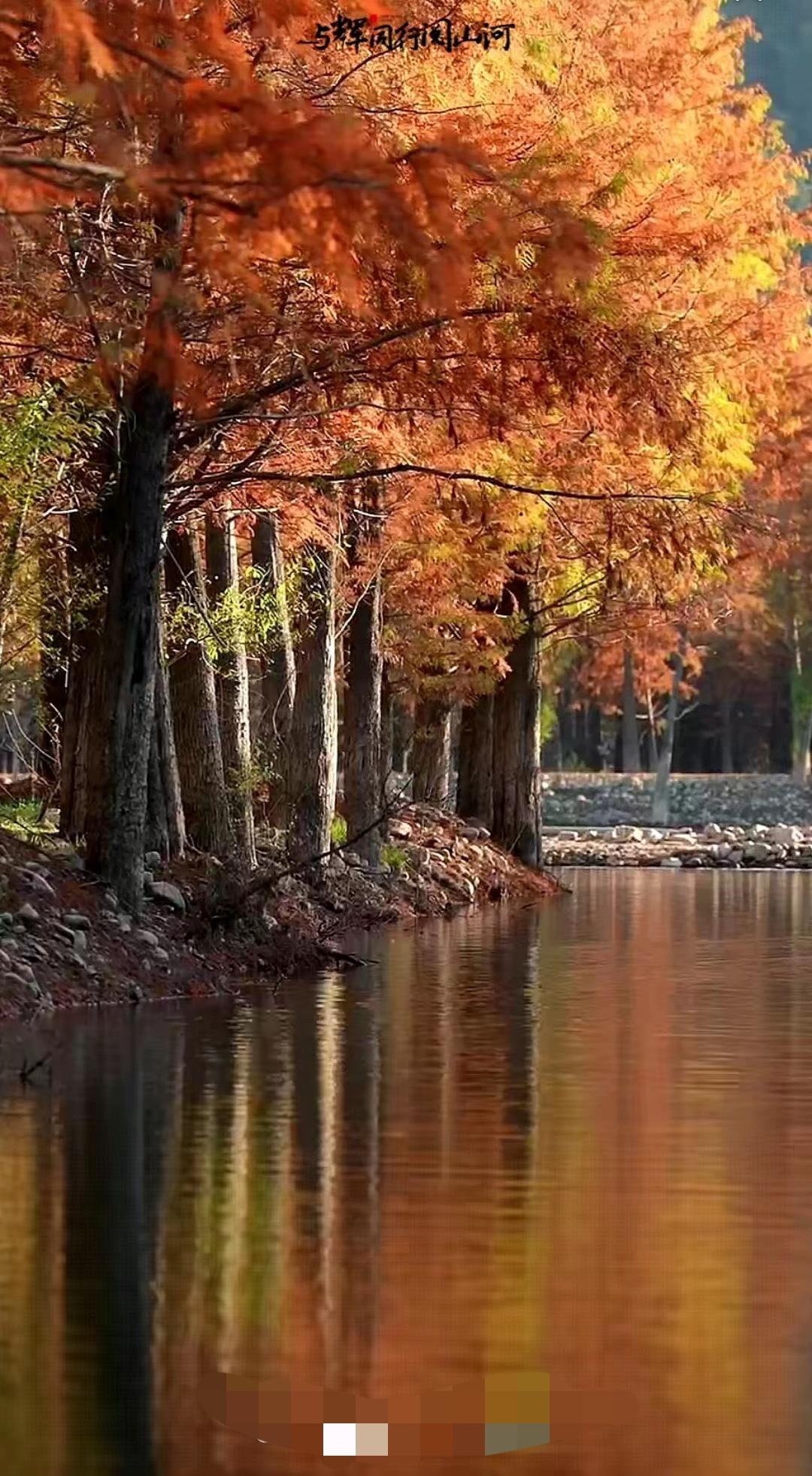 安徽外场结束了，一些带节奏的又出来了。据说这次安徽行，与辉同行在彩排的时候