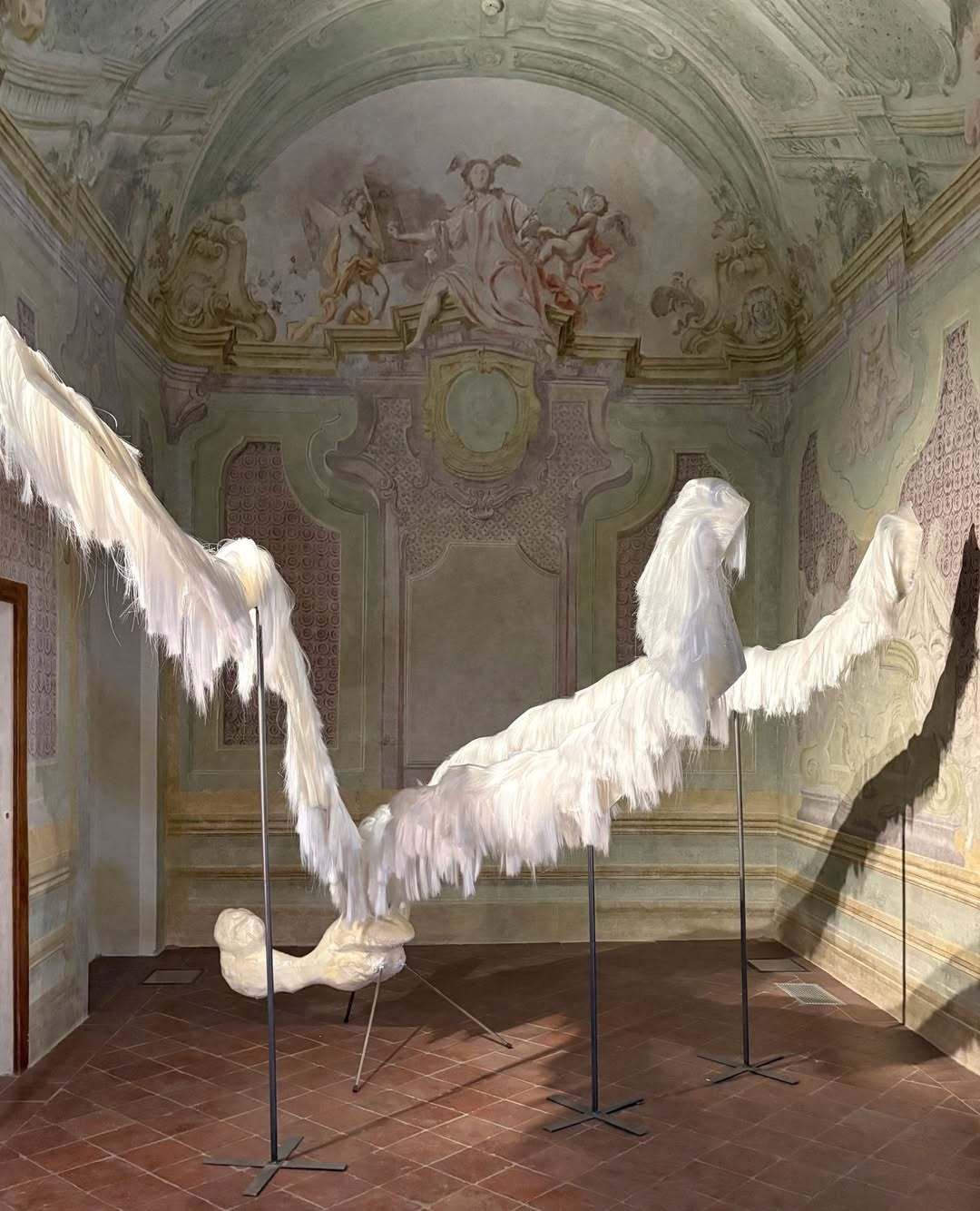 DiegoPerrone“Ilsolecomeungatto”像猫一样